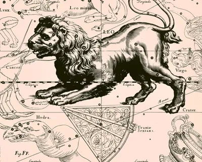 О зодиакальных созвездиях [Лев] | Пикабу