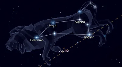 созвездие знамения льва зодиакала, яркие звезды на ночном небе Иллюстрация  вектора - иллюстрации насчитывающей лео, группа: 164811026