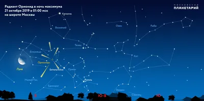 Созвездие Ориона И Сириус Над Лесом В Зимнем Небе — стоковые фотографии и  другие картинки Туманность Ориона - Туманность Ориона, Созвездие, Звезда -  iStock