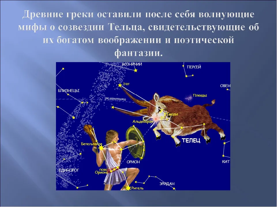 Созвездие тельца какие звезды. Созвездие Телец Альдебаран. Зодиакальное Созвездие Телец. Сообщение о созвездии Телец. Созвездие тельца на небе.