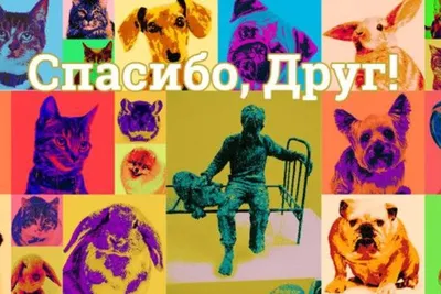 АиФ-Дальинформ» объявляет фотоконкурс собак «Спасибо, друг!» | Конкурсы |  АиФ Хабаровск