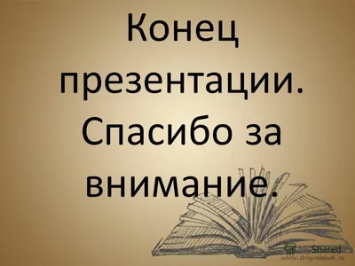 Картинка Для Завершения Презентации Спасибо За Внимание – Telegraph