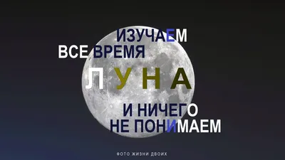 Сплошные дубли: в Удмуртии на свет появилось 121 двойня | Здравоохранение |  ОБЩЕСТВО | АиФ Удмуртия