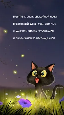 Красивые открытки \"Спокойной ночи!\" (521 шт.)