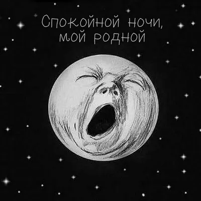 Ночной юмор | Йога-дзен | Дзен