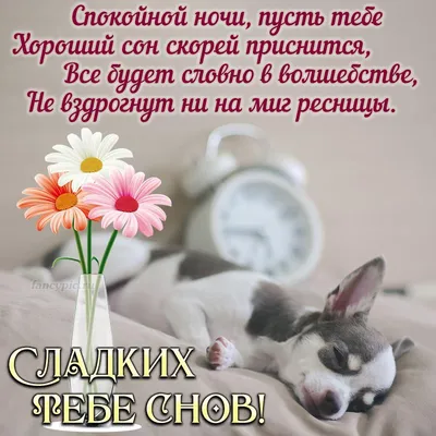 Картинка с пожеланием \"Спокойной ночи!\", в стихах • Аудио от Путина,  голосовые, музыкальные