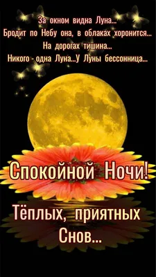 Картинки \"Спокойной Ночи, Любимая!\" (259 шт.)