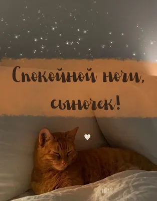 спокойнойночилюбимый #спокойной #ночи#любимый #врек #рек | TikTok