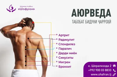 Деформирующий спондилез (Spondylosis Deformans) | Ветеринарная клиника  доктора Шубина