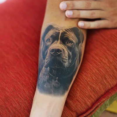 Stafford Portrait Tattoo – TattooIcon