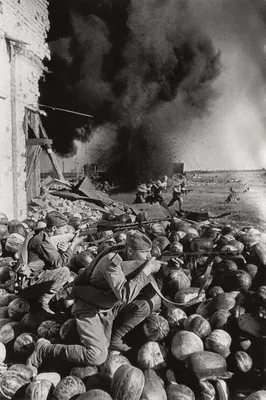 Отстоим город или погибнем: 80 лет назад начались уличные бои в Сталинграде