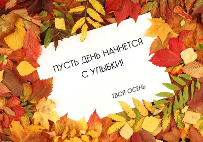 Статусы со смыслом - Привет, осень! | Facebook