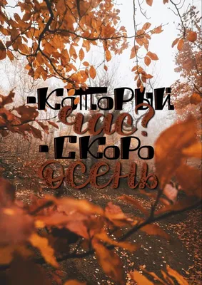 Пин от пользователя Ganna Osmanova на доске юмор,цитаты,поздравления и  многое другое... | Осенние картинки, Утренние цитаты, Осень
