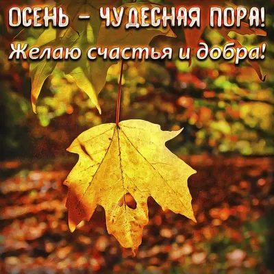 Цитаты и картинки про осень | Красивые. Для инстаграм. Фото.
