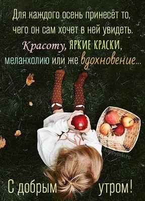 Осень в картинках - купить подготовки к школе в интернет-магазинах, цены в  Москве на Мегамаркет | 30710