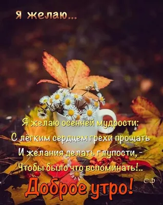 Пин от пользователя Irina Viktorovna на доске Осень | Веселые высказывания,  Зимние цитаты, Цитаты