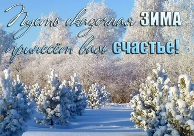 Какие слова помогают красиво представить и описать зиму | АРТ ГАСПАРОВ |  Дзен