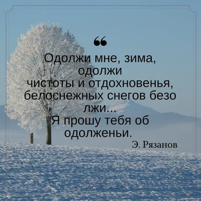 Открытки с первым днем зимы, поздравления в стихах, прозе, приколы — Разное