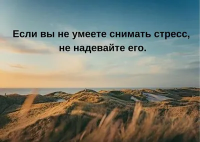 Прикольные статусы на все случаи жизни для социальных сетей: 50+ вариантов