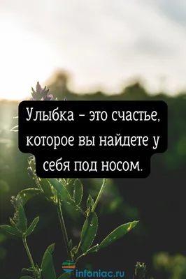 Организационная мотивация трейси | Мотивация, Счастливые моменты, Цитаты