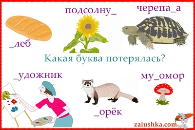 Набор пиши-стирай «Учу и пишу буквы» карточки с буквами и картинками,  маркер купить в Чите Методики раннего развития в интернет-магазине  Чита.дети (5189423)