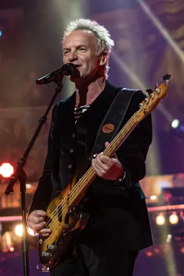 Sting (musician) - Wikipedia