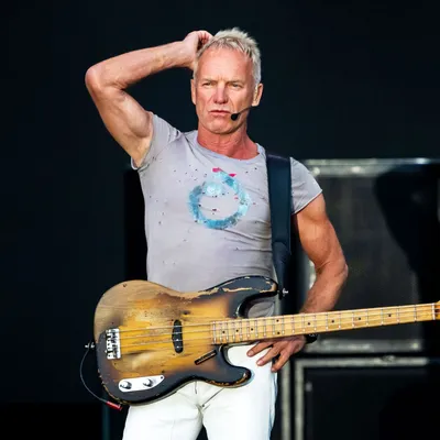 Sting Tells Stories Behind Biggest Hits, from Roxanne to Fields of Gold