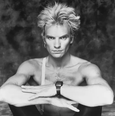 Sting 1983 – Paul King Artwerks