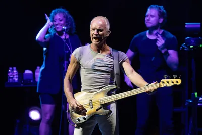 Sting : NPR