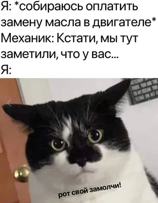 Интересные карты в роблоксе 1 часть) СПАСИБО ЗА 7к потпищеков💖|| #инт... |  TikTok