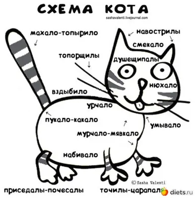 Схема кота: Большая мама: Дневники - на Diets.ru