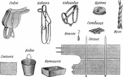 Строение седла для лошади. Что нужно знать при выборе седла - Кінний портал  України