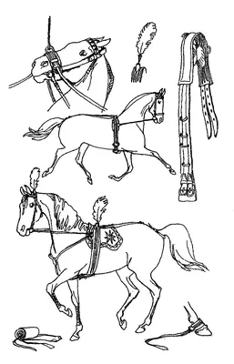 Глава 4. Конское снаряжение [1979 Анисимов М.Д., Кузинин С.А., Рогалев Г.Т.  - Дрессировка лошадей в цирке]