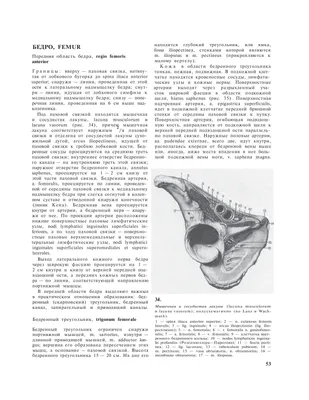 Книга 1. «Конный спорт» под ред. Эриха Эзе - Конный клуб «Сивка»