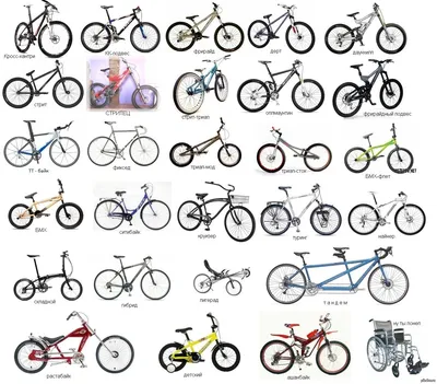 Велосипед и названия (56 фото) - красивые картинки и HD фото