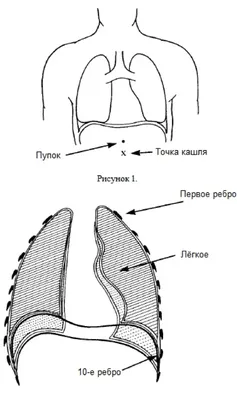 https://infourok.ru/magazin-materialov/stroenie-tela-cheloveka-vneshnee-i-vnutrenne-stroenie-tela-vnutrennie-organy-25386