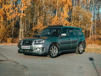 Subaru Forester 2023 появился в продаже в России — с мотором 2,5 и полным  приводом