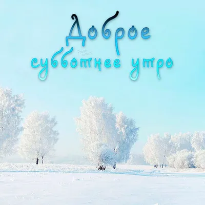 суббота #доброеутро #утро #доброе #11 #декабрь #зима #realmeWishList ... |  TikTok