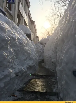 Морозная суббота ждет приморцев