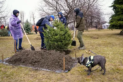 Рисунок Субботник в школе №140864 - «ЭКОЛОГИЯ и МЫ» (08.02.2024 - 10:20)