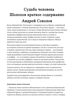 Издательство \"Речь\" - Они сражались за Родину. Судьба человека