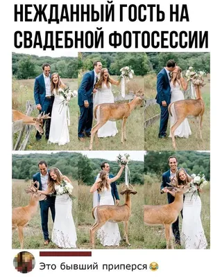 Свадебные приколы Жених не узнаёт свою невесту The groom does not recognize  his bride ziminvideo - YouTube