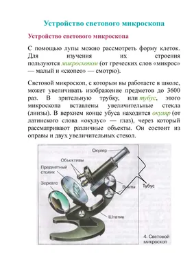 Сложный Световой Микроскоп — стоковые фотографии и другие картинки  Австралия - Австралазия - Австралия - Австралазия, Анализировать, Без людей  - iStock