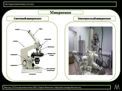 Люминесцентный микроскоп L-3001