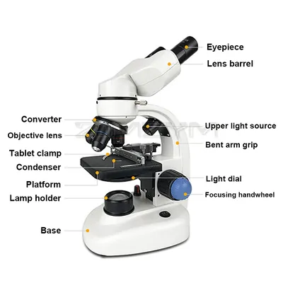 Оптический микроскоп HD для детей и начинающих с увеличением 400X-24000X, с  микроскопом, слайды, искусственная кожа, школа, лаборатория | AliExpress