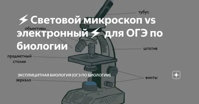 Светлый микроскоп с ручками и винтами с светом дальше Стоковое Фото -  изображение насчитывающей медицинско, микстура: 122083618