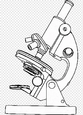 Bresser Science Светодиодный микроскоп 40-1000X Черный| Techinn