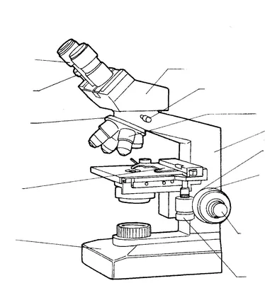 Монокулярный оптический микроскоп, профессиональный купить от 0 руб.