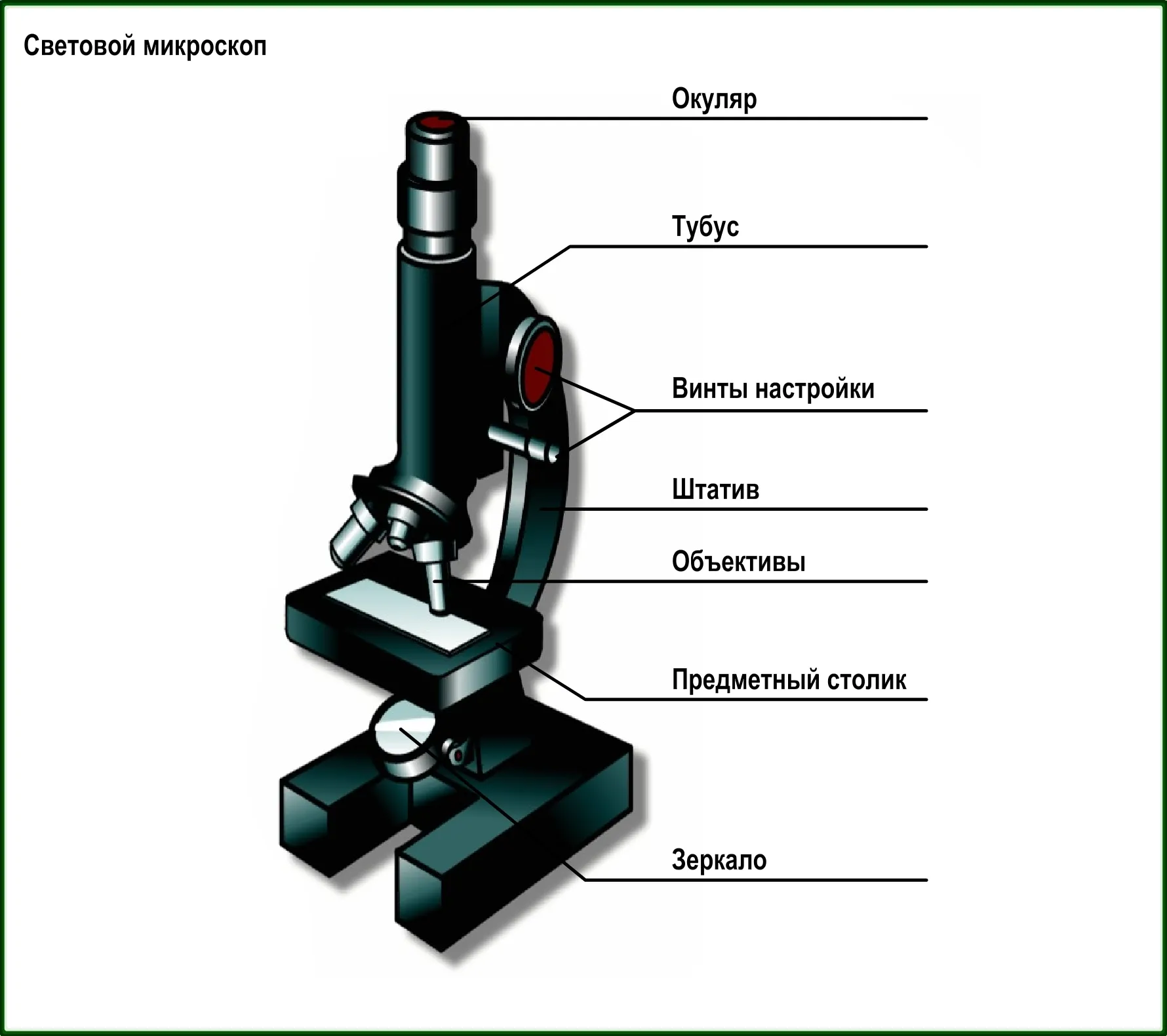 Строение светового микроскопа 5 класс. Схема устройства светового микроскопа. Цифровой микроскоп части микроскопа 5 класс.