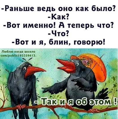 Автомобильный юмор, анекдоты про автошколы и автоинструкторов, смешные  картинки